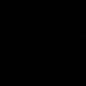 Meet your Posher, Jaden